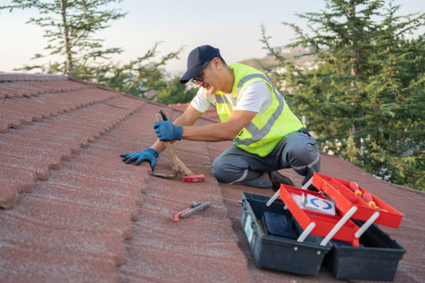 Best Metal Roofing Contractor  in Skokie, IL